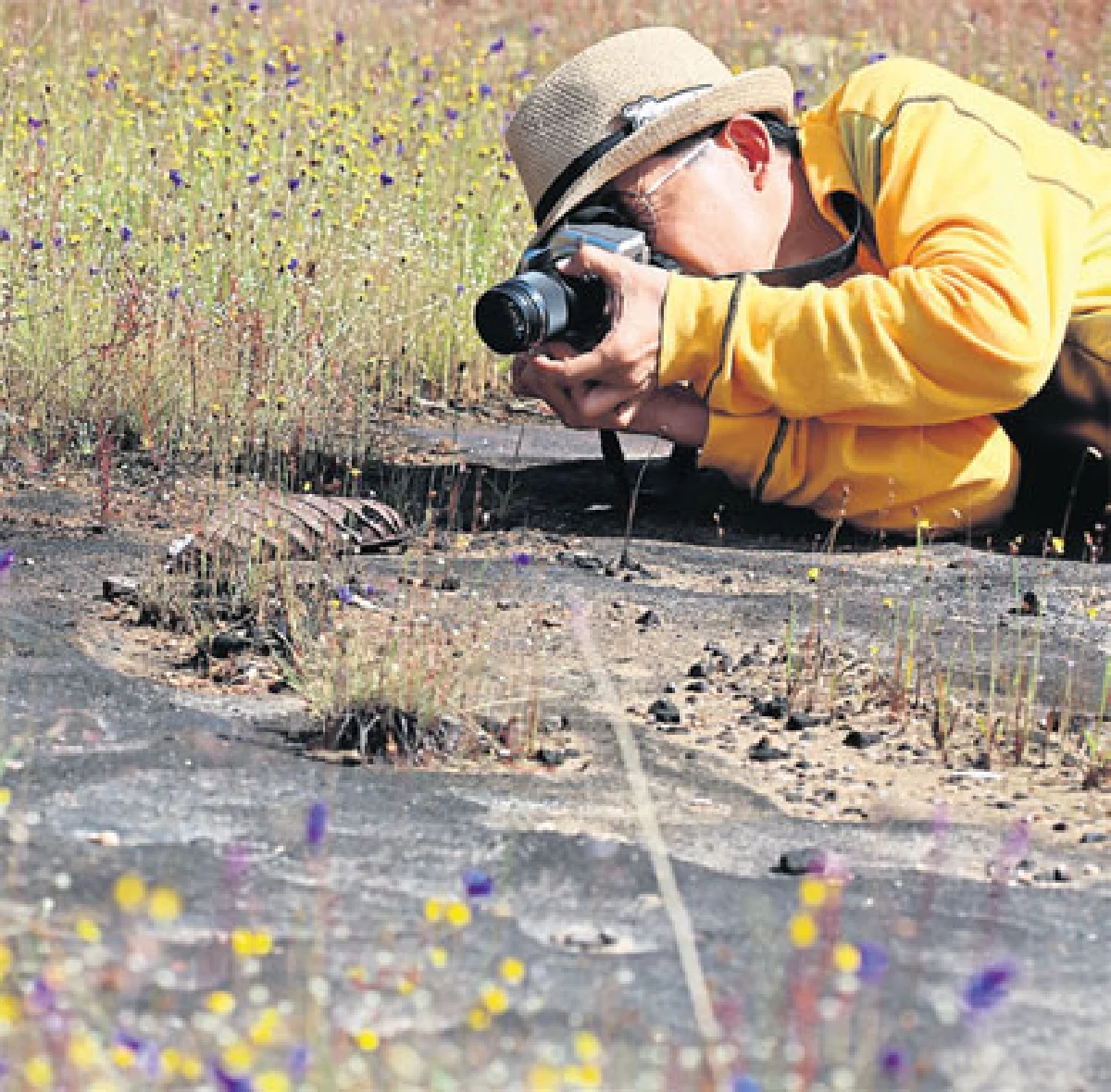ดอกไม้ป่า สิ่งเล็กน้อย-มหาศาล