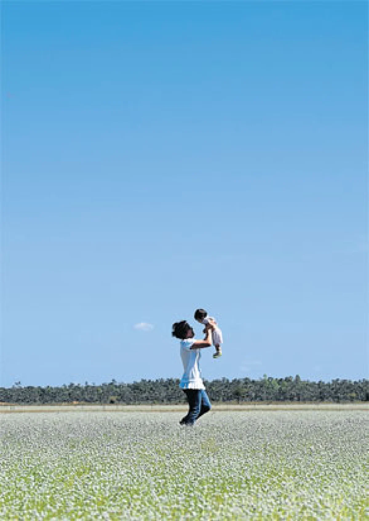 ดอกไม้ป่า สิ่งเล็กน้อย-มหาศาล