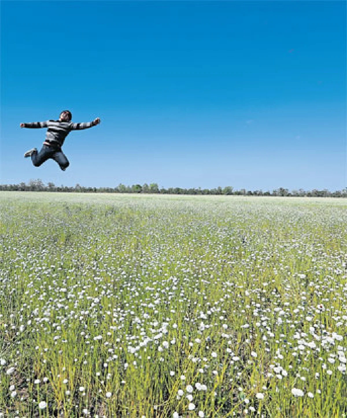 ดอกไม้ป่า สิ่งเล็กน้อย-มหาศาล