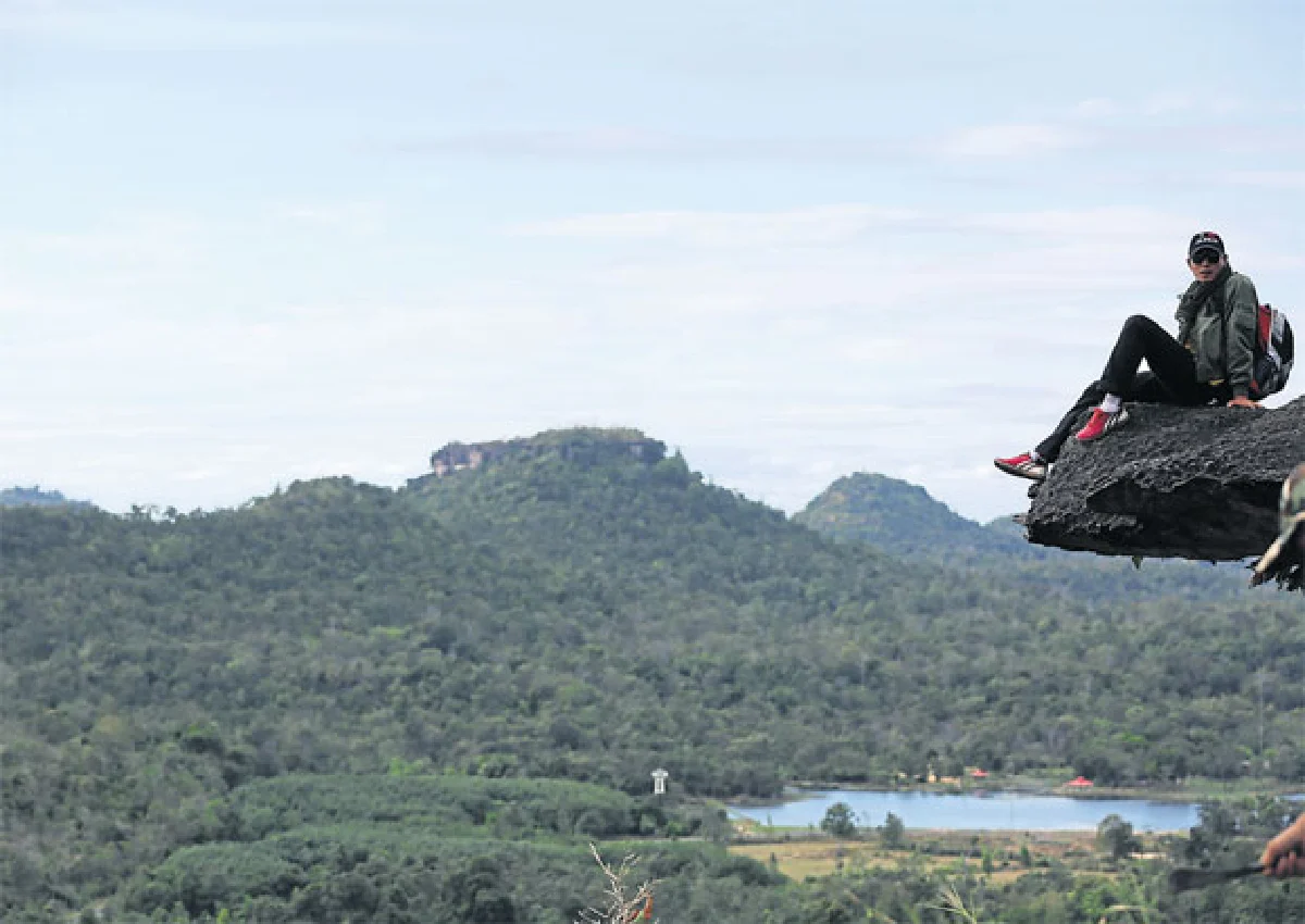 ดอกไม้ป่า สิ่งเล็กน้อย-มหาศาล