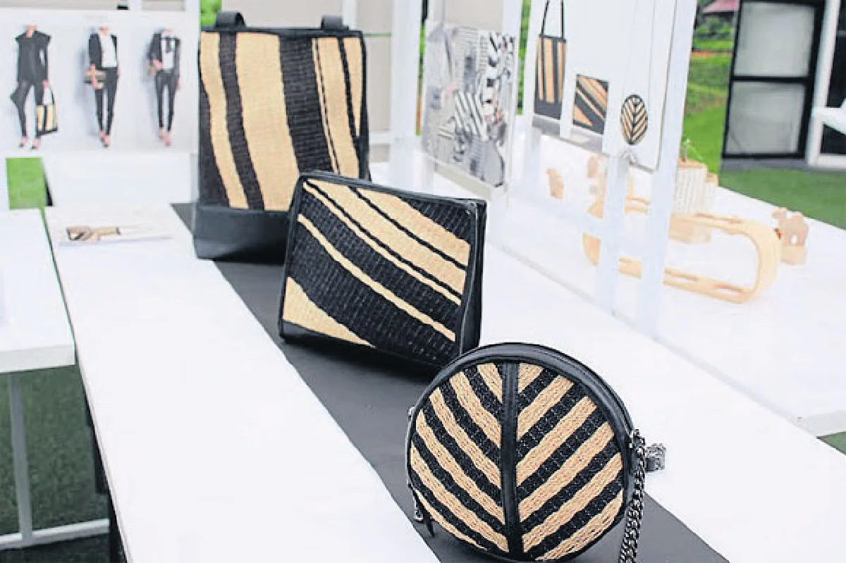 เป็นมากกว่าแค่ ‘หญ้าแฝก’!