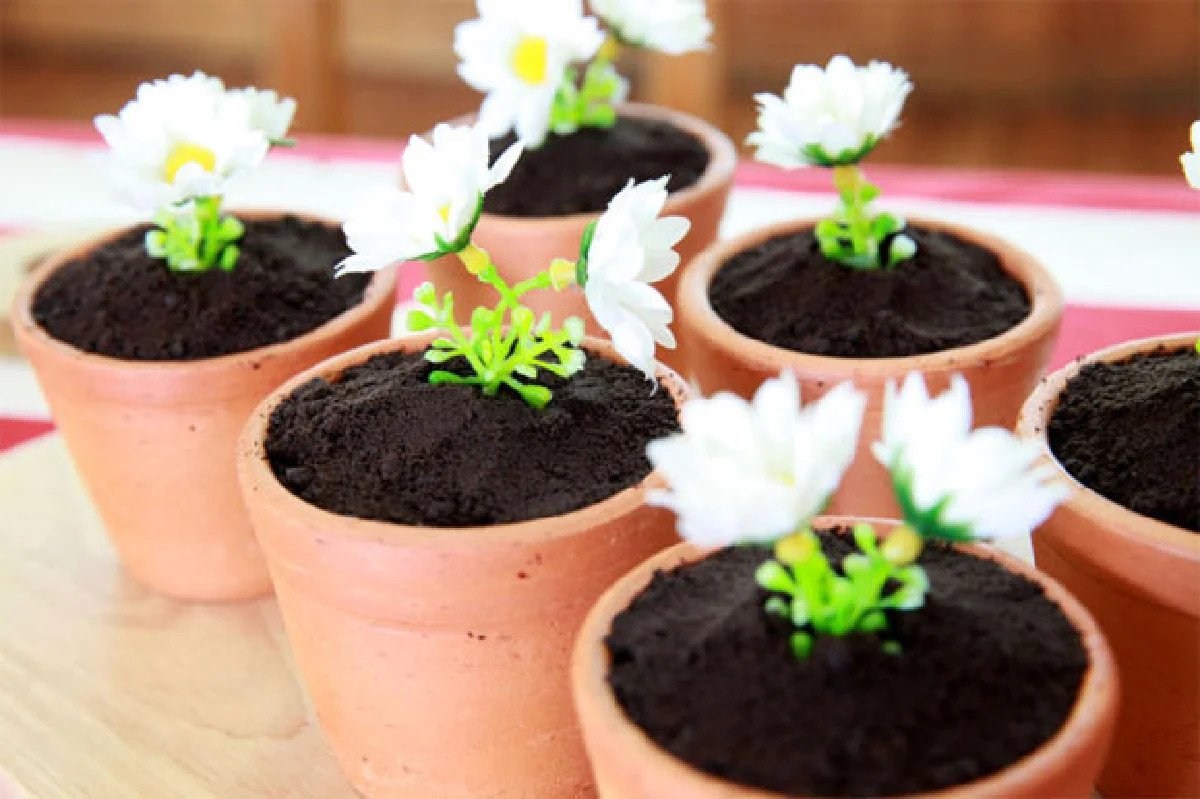 ขนมกับธรรมชาติ ของ อรณิชา ชุณหศรี