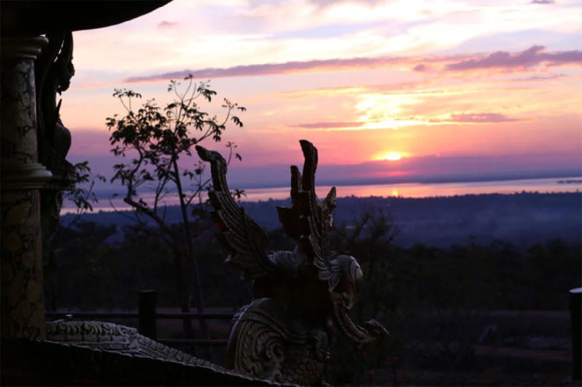 กัลปพฤกษ์เรืองแสง วัดสิรินธรวรารามภูพร้าว