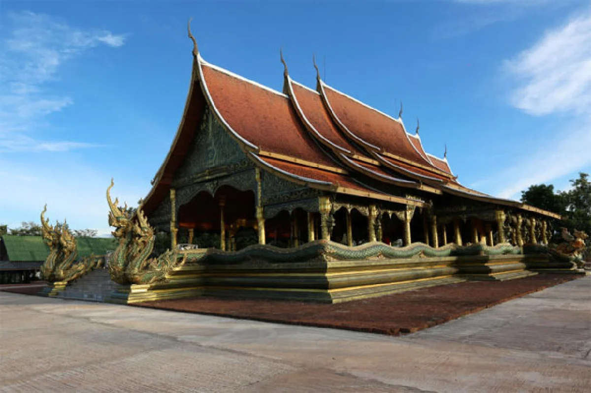 กัลปพฤกษ์เรืองแสง วัดสิรินธรวรารามภูพร้าว
