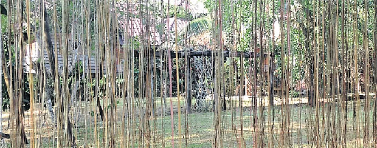 บ้านผาลาด ทองผาภูมิ