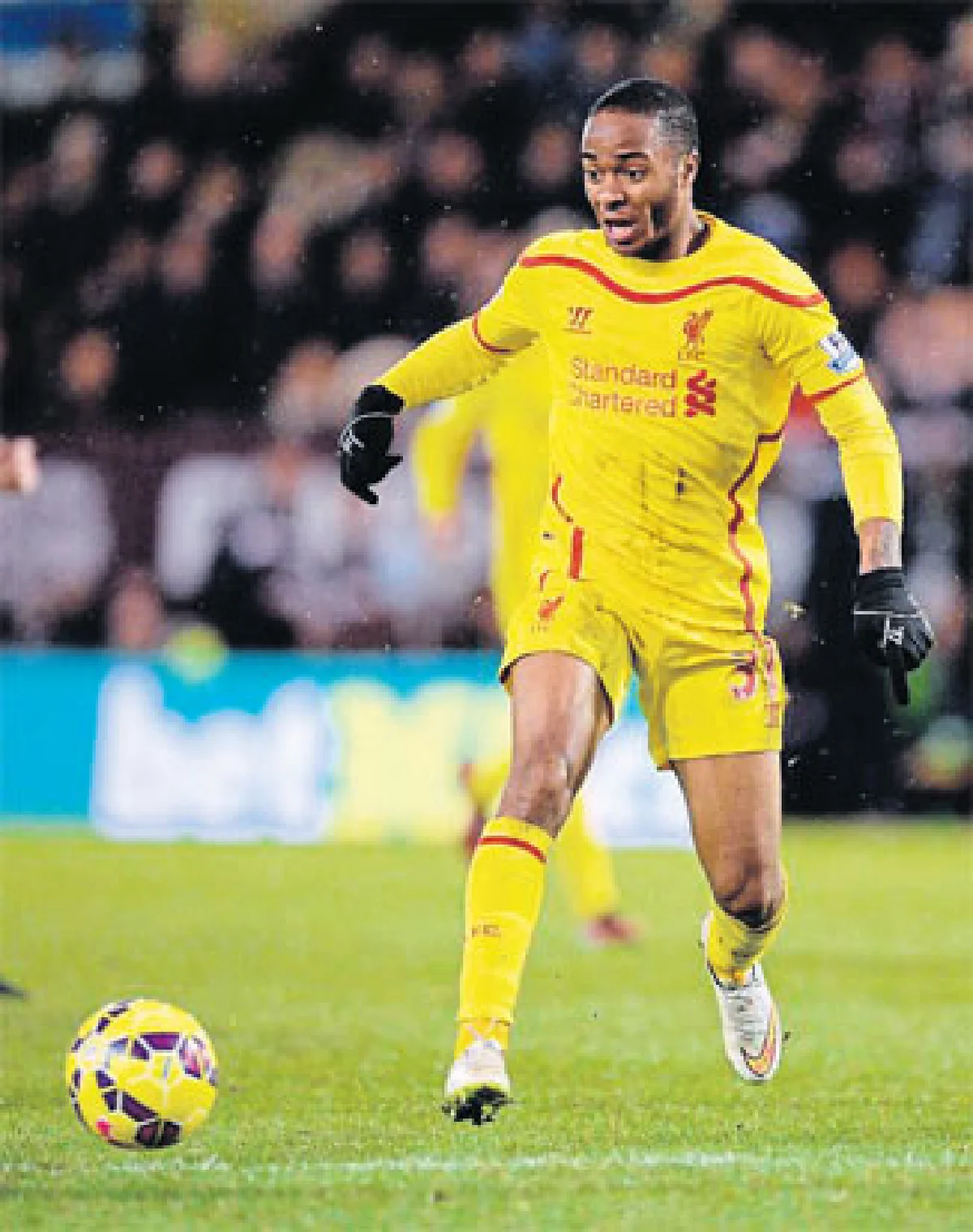 ล็อกเป้า...ดาวรุ่ง ปี 2015