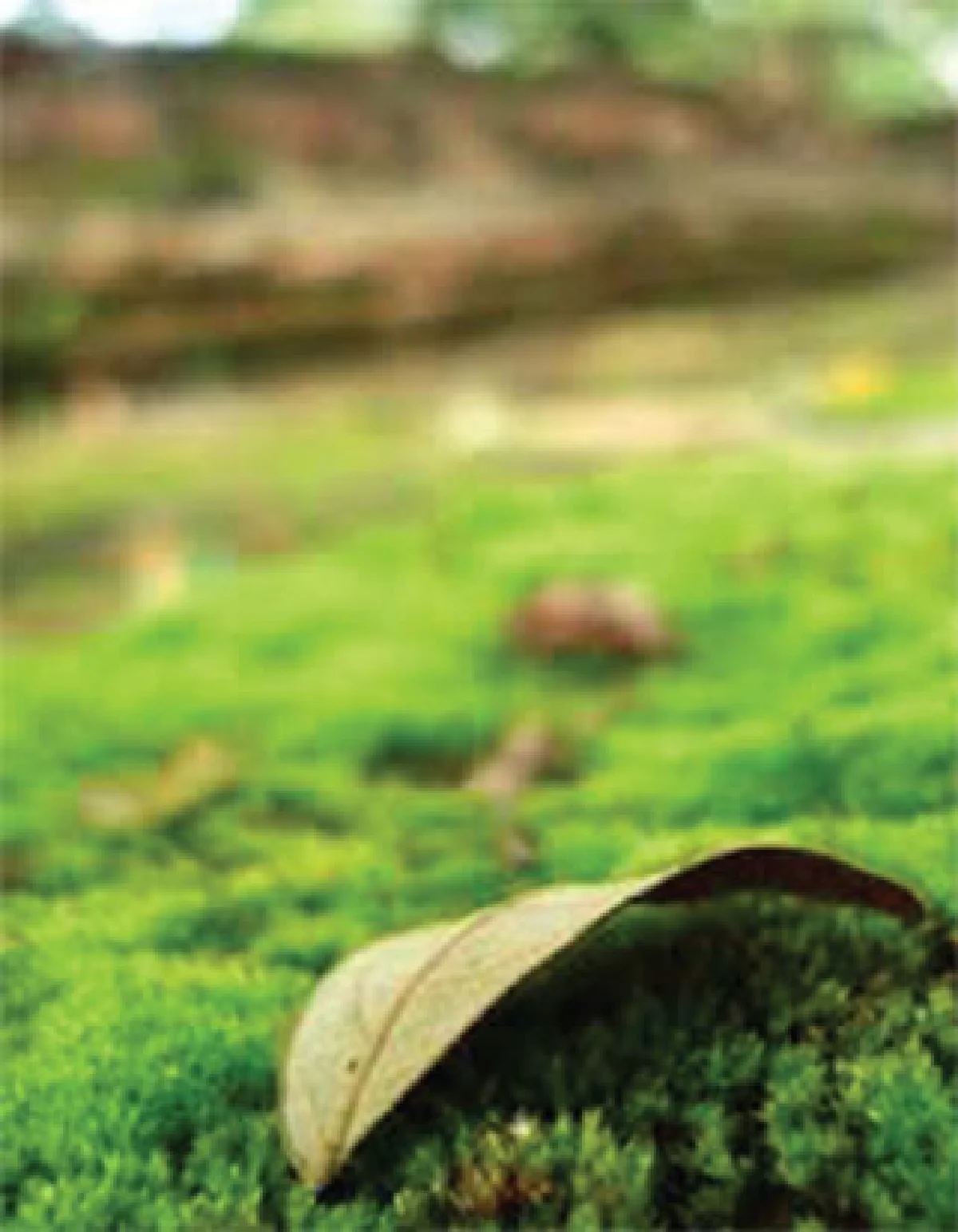 ความสงบอย่างยิ่ง คือการดำรงอยู่เหนือกาลเวลา