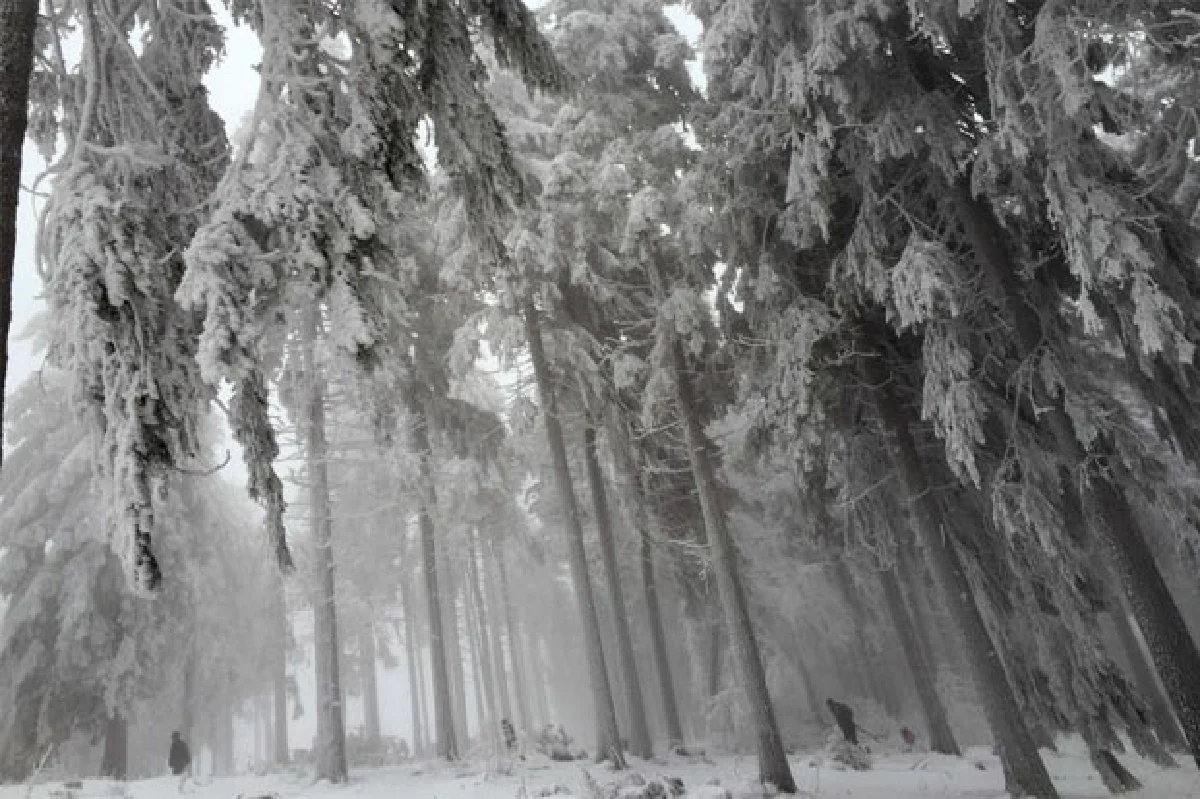 เหมันต์มาเยือน