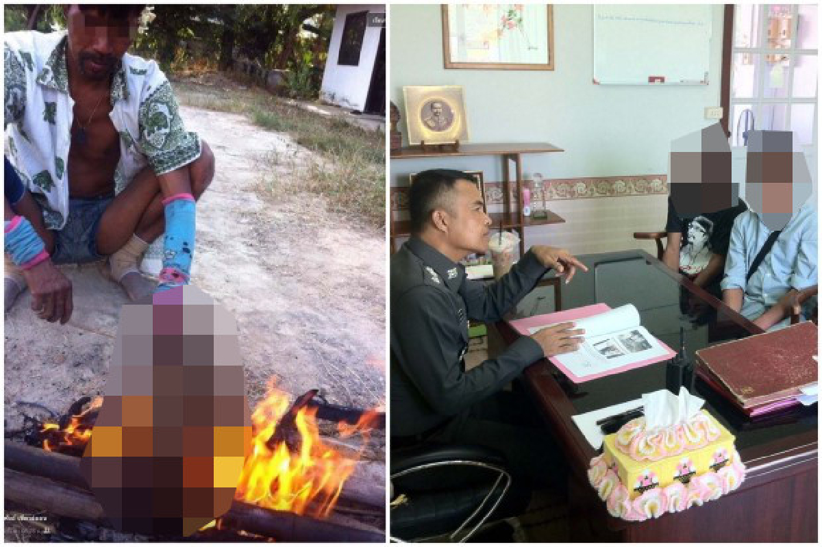 หนุ่มขอโทษสังคมโพสต์ภาพย่างแมวถูกรถชนตาย หนุ่มขอโทษสังคมโพสต์ภาพย่างแมวถูกรถชนตาย