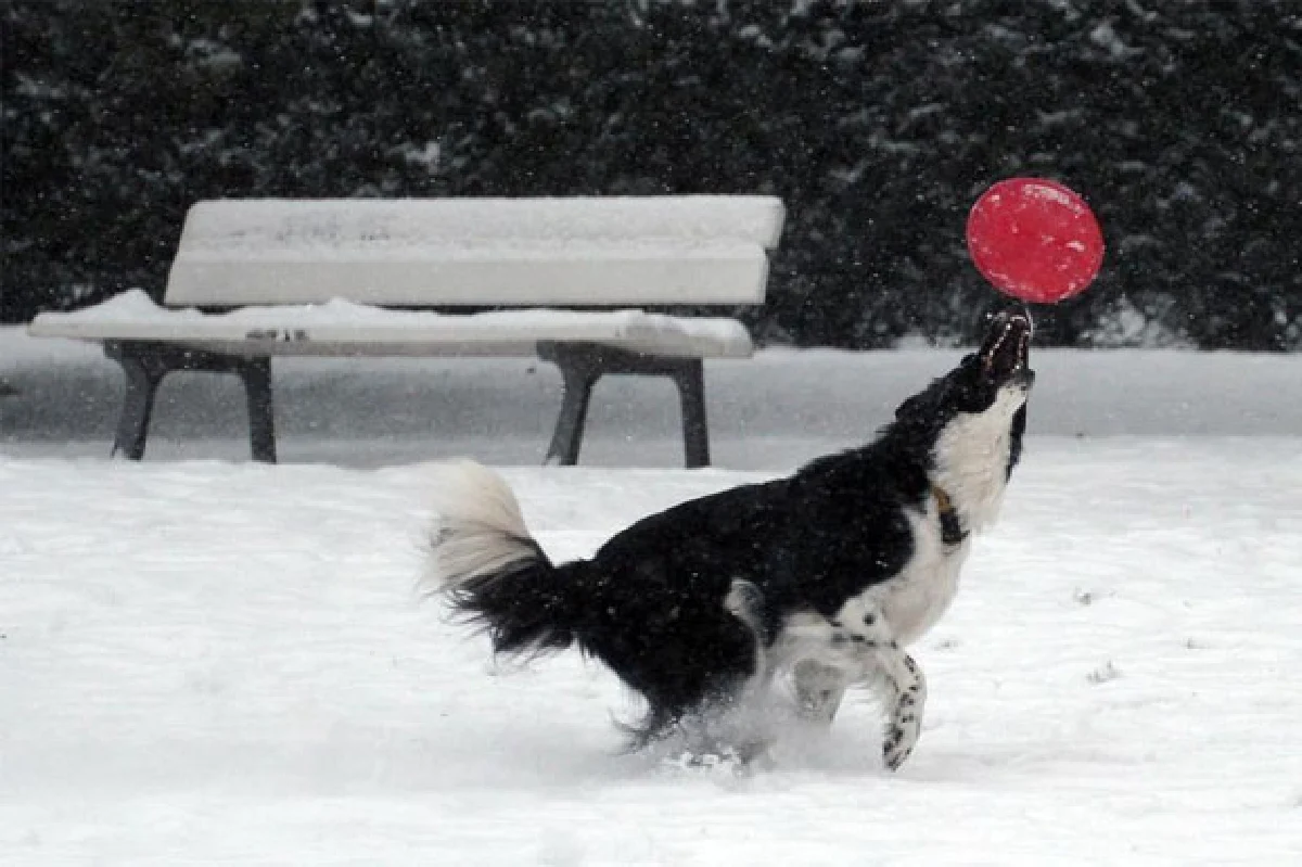 เหมันต์มาเยือน