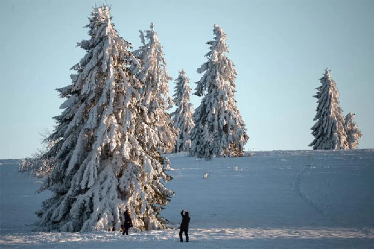 เหมันต์มาเยือน