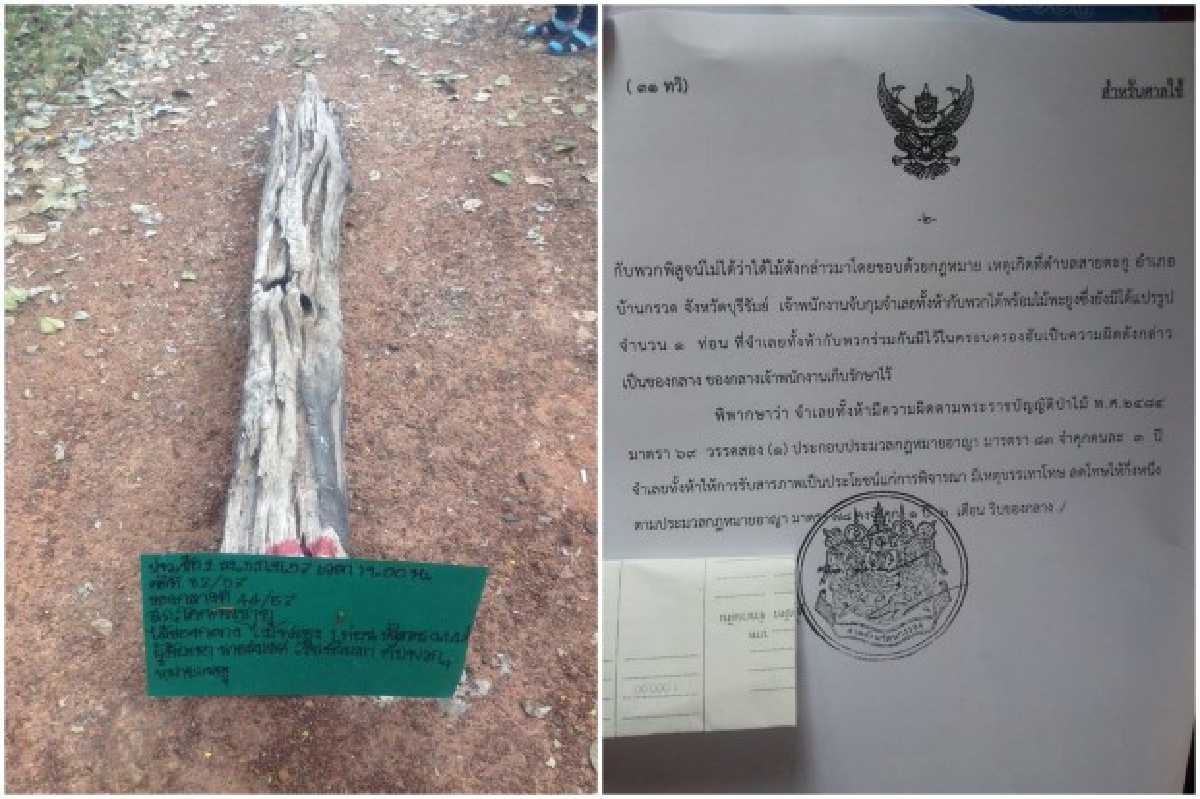 โอดชาวบ้านถูกจับเพราะไม้พะยูงเก่า1ท่อนตร.ย้ำทำตามกม. โอดชาวบ้านถูกจับเพราะไม้พะยูงเก่า1ท่อนตร.ย้ำทำตามกม.