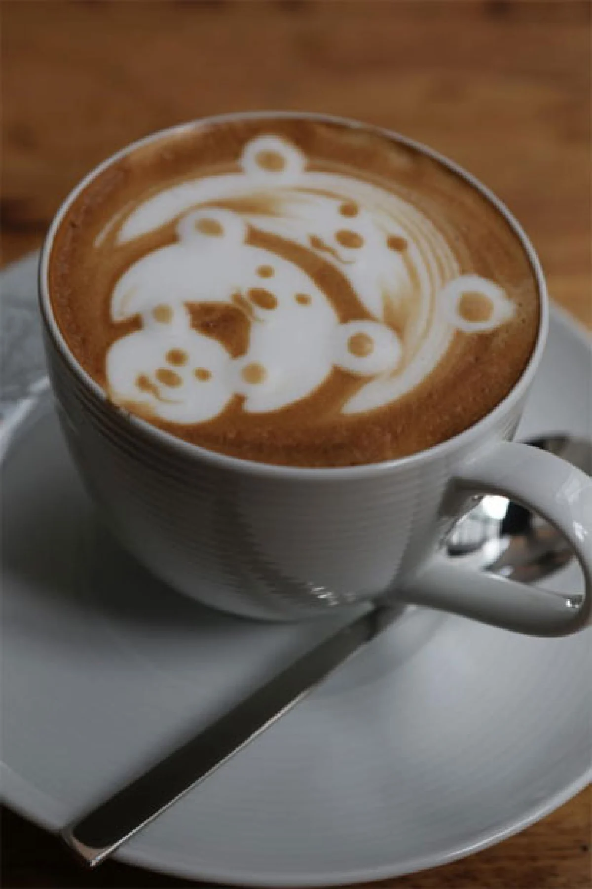 เคสสตัดดี้