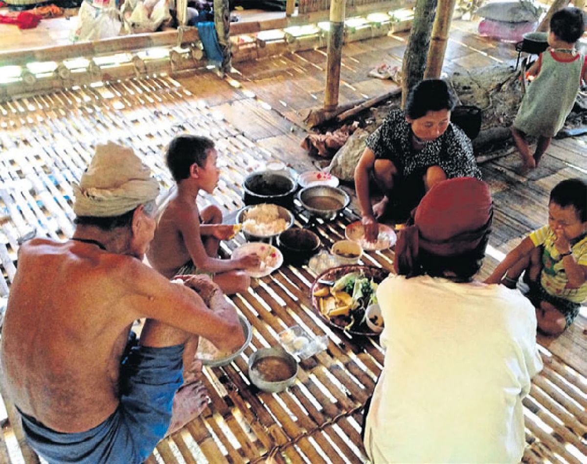 ‘ป่าแห่งความหลัง’ ของปู่คออี้ อดีตพรานใหญ่แห่งต้นน้ำเพชร