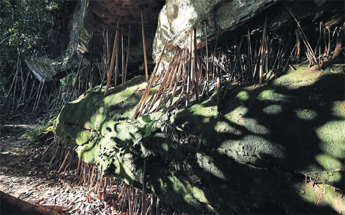 น้ำตกห้วยหลวง สายน้ำนอกสายตา