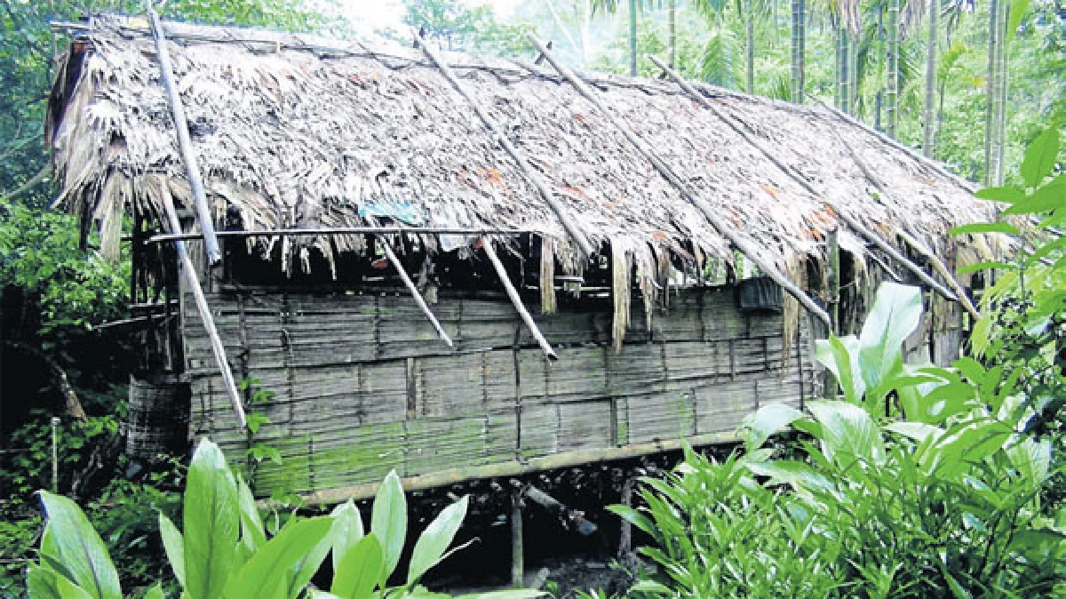 ‘ป่าแห่งความหลัง’ ของปู่คออี้ อดีตพรานใหญ่แห่งต้นน้ำเพชร