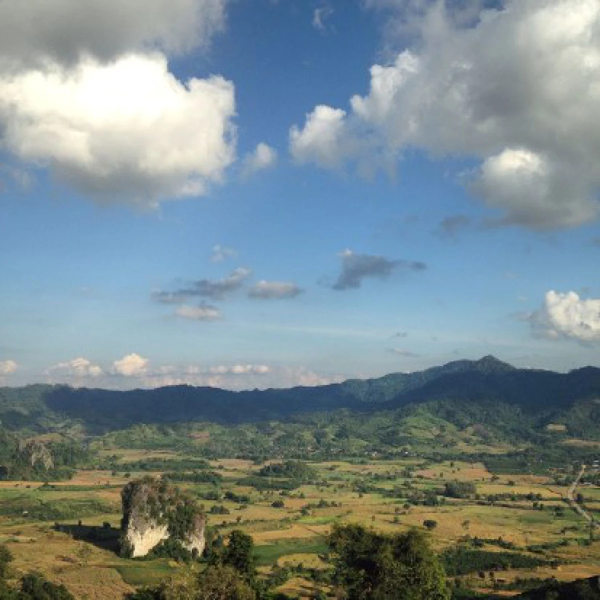 DUCATI DIAVEL CARBON 2015 "Don’t call me a cruiser"