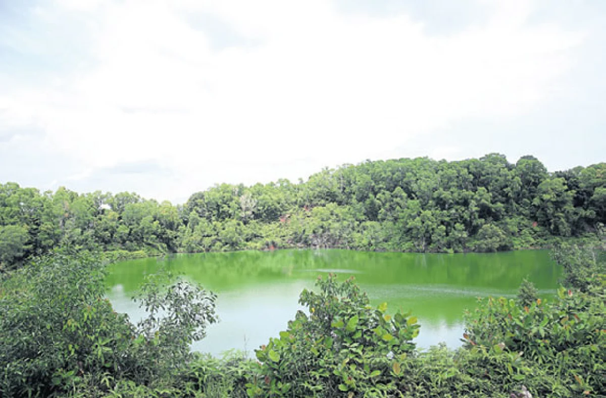 ปูเลา อูบิน เกาะที่มีแต่ต้นไม้กับจักรยาน