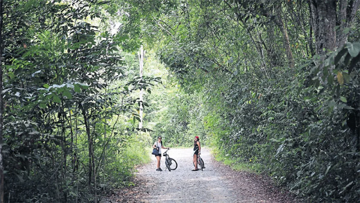 ปูเลา อูบิน เกาะที่มีแต่ต้นไม้กับจักรยาน