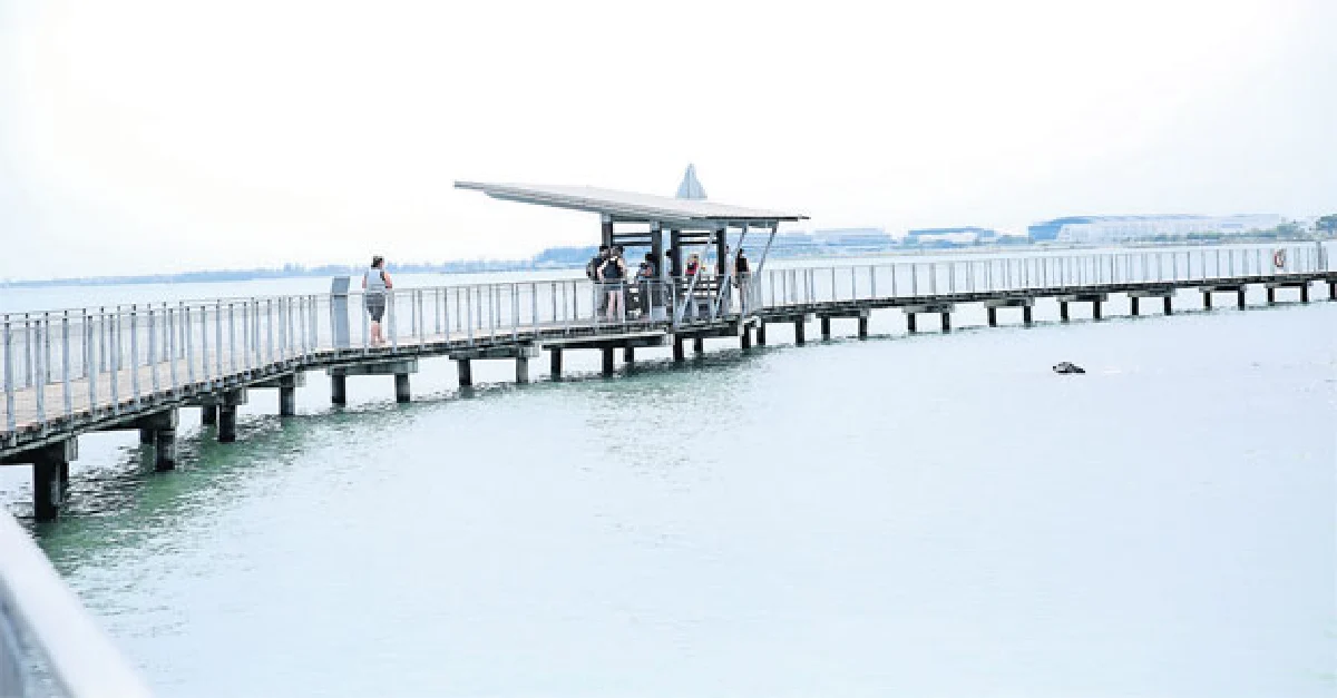 ปูเลา อูบิน เกาะที่มีแต่ต้นไม้กับจักรยาน