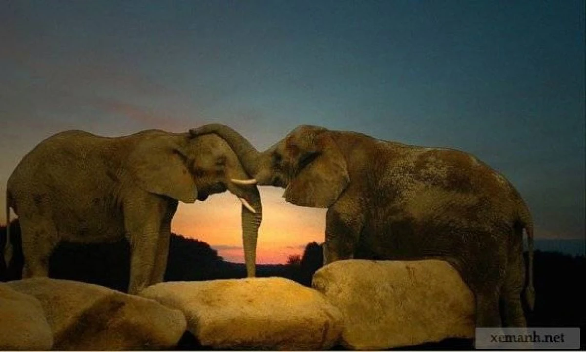 26ภาพคู่สัตว์โลกน่ารัก ที่ใครดูก็ต้องอมยิ้ม (ชมภาพ)