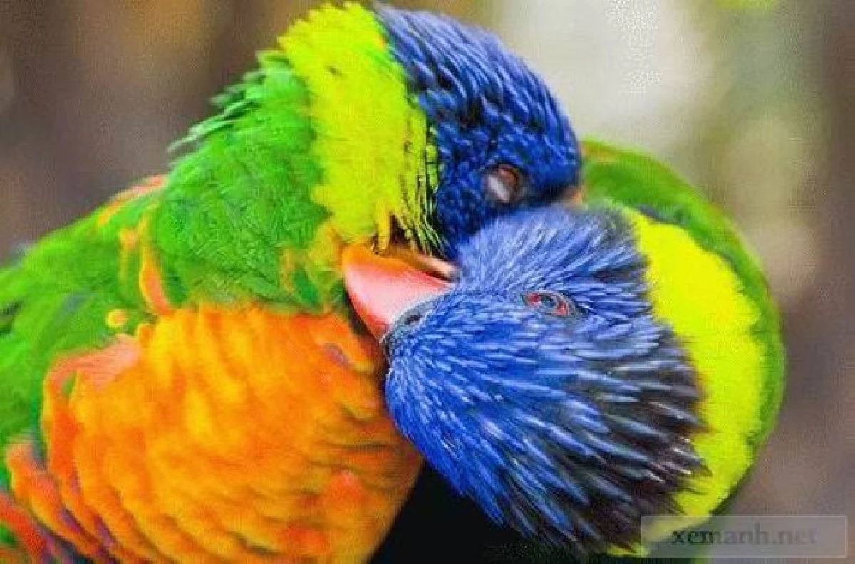 26ภาพคู่สัตว์โลกน่ารัก ที่ใครดูก็ต้องอมยิ้ม (ชมภาพ)