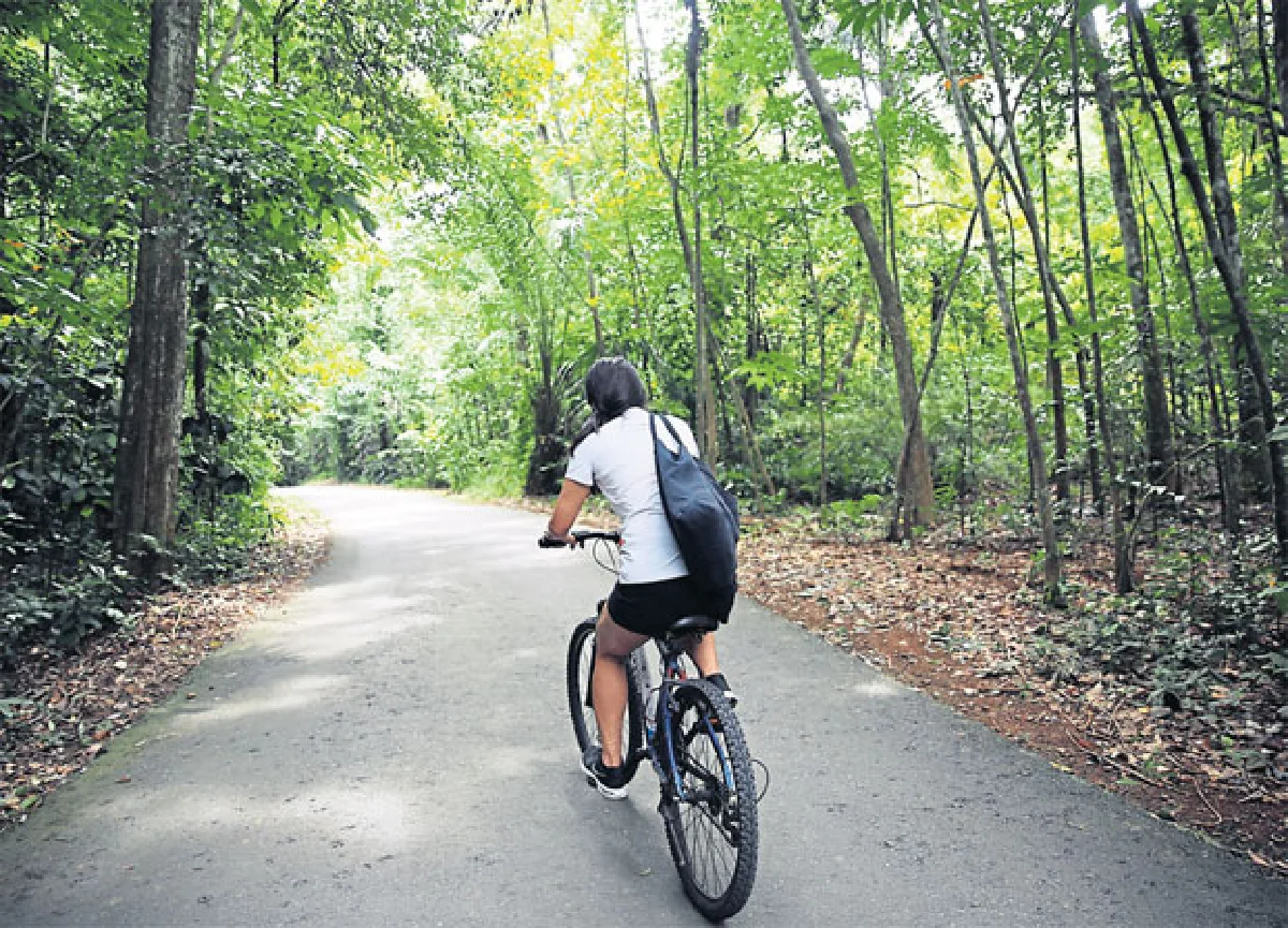 ปูเลา อูบิน เกาะที่มีแต่ต้นไม้กับจักรยาน