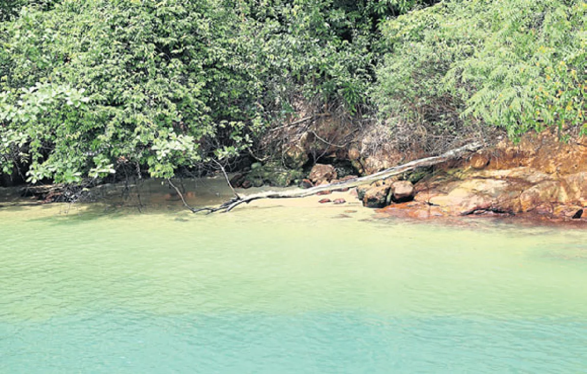 ปูเลา อูบิน เกาะที่มีแต่ต้นไม้กับจักรยาน