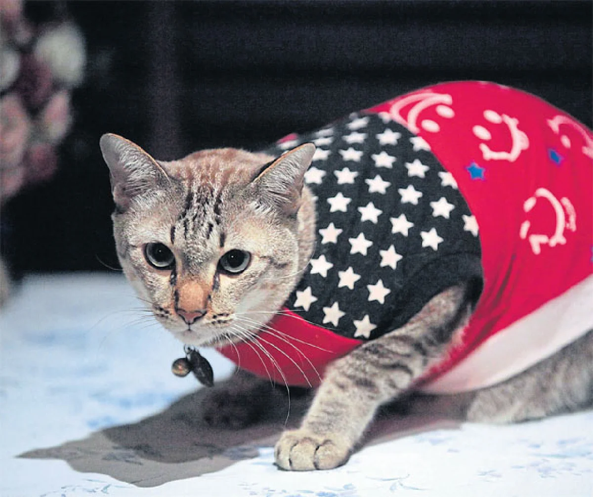 เรโกะ-วรจรรย์ แสงเงิน & ริชชี คู่ซี้มีสไตล์