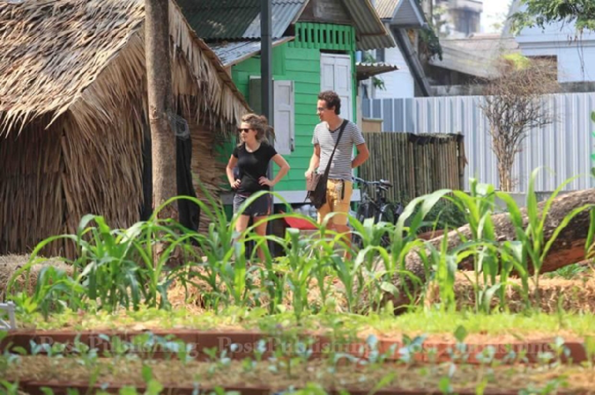 Thong Lor's Root Garden farm