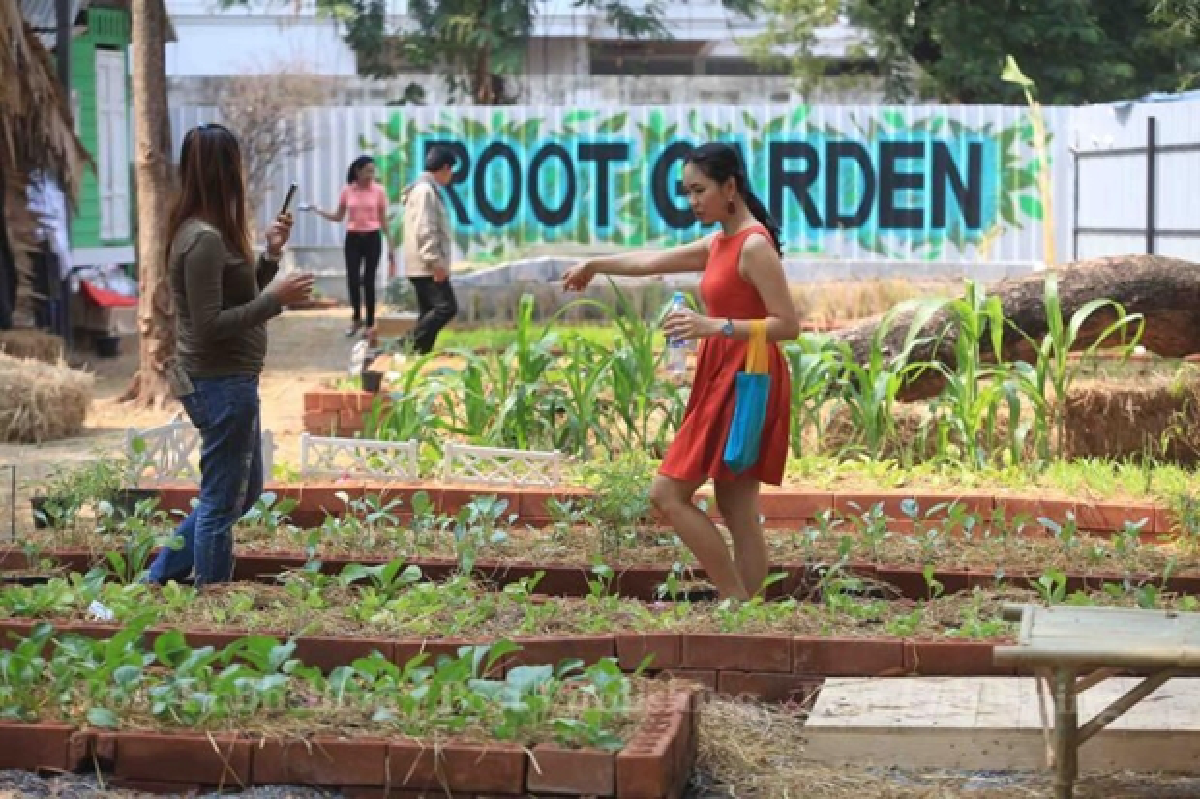 Thong Lor's Root Garden farm