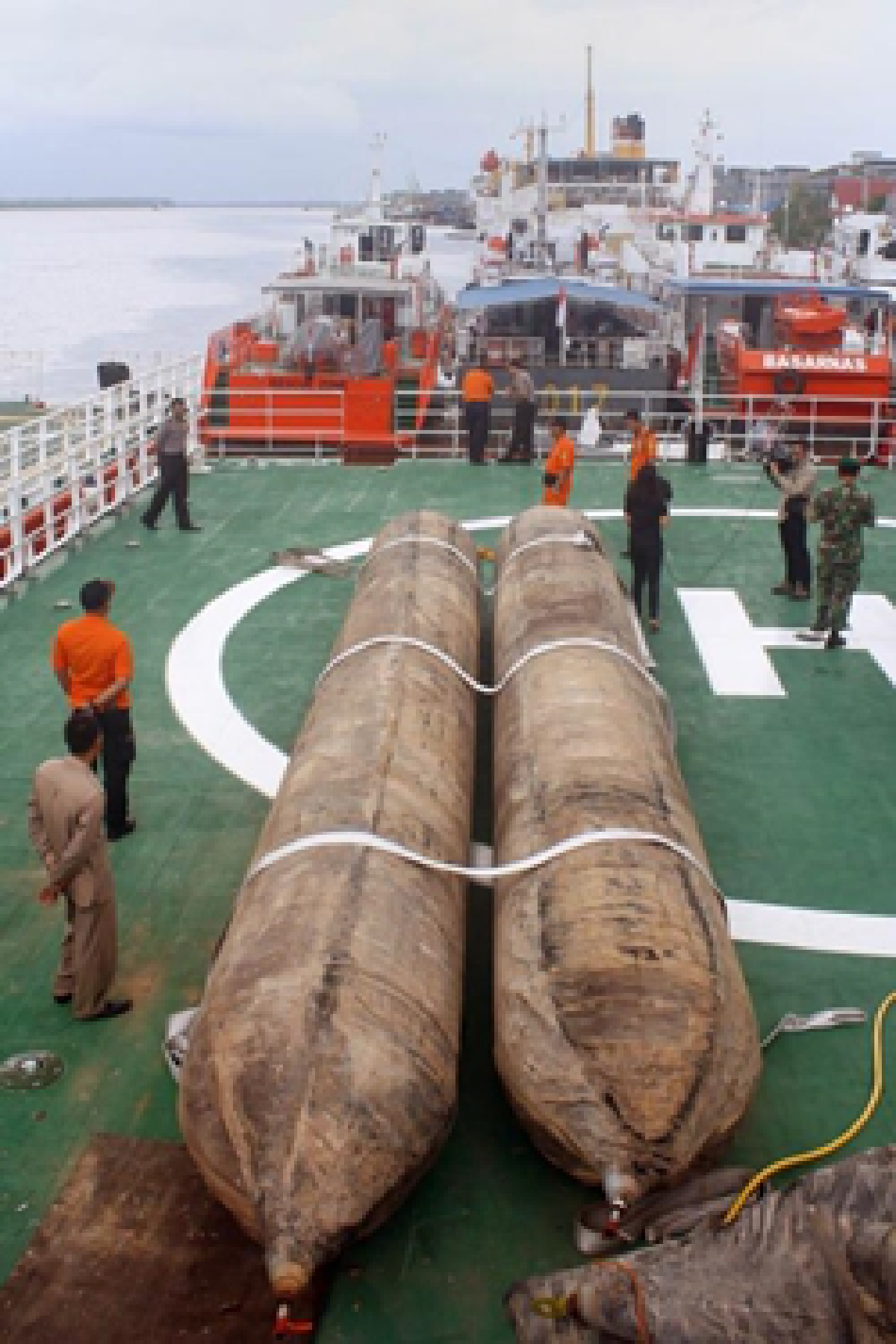AirAsia search will continue despite military's withdrawal