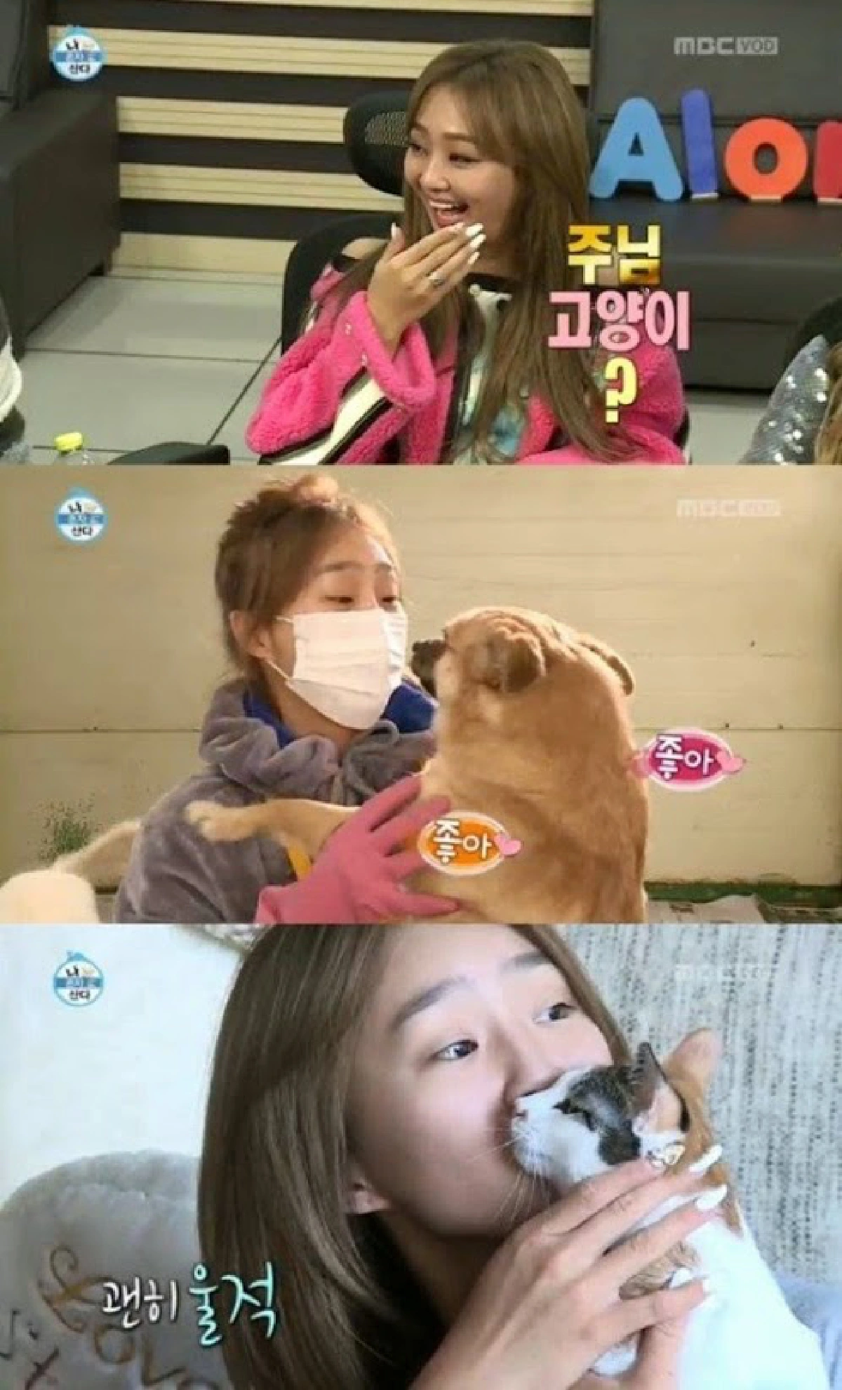 จวกเละ!นักข่าวกิมจิ หลังแขวะ"ฮโยริน SISTAR"