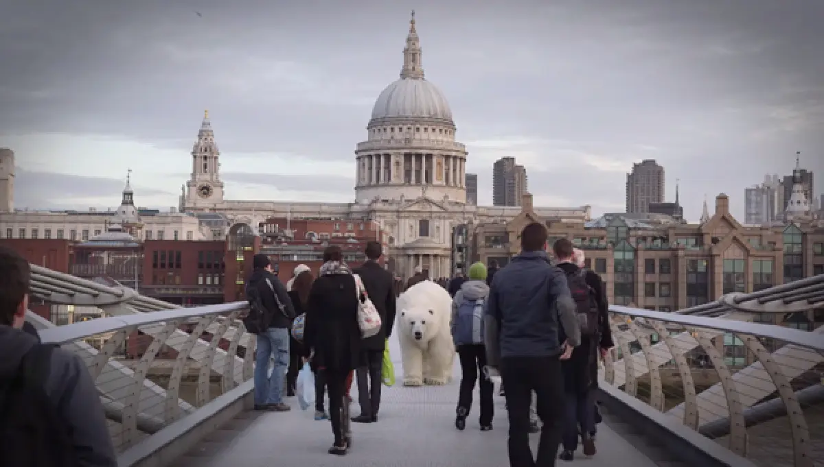 Polar bear sighted in London