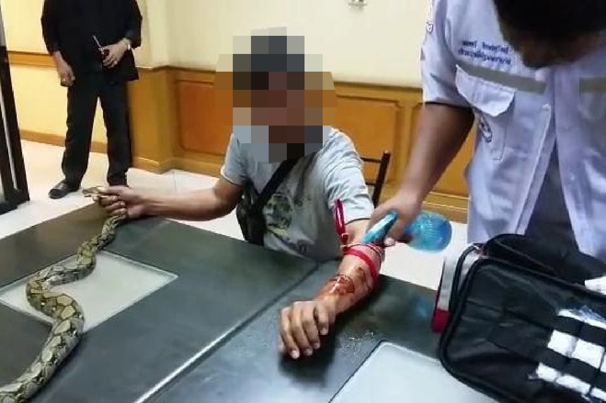 ตร.มึน!เจอหนุ่มหิ้วงูเหลือมแจ้งความฐานบุกบ้าน-กัดแขน