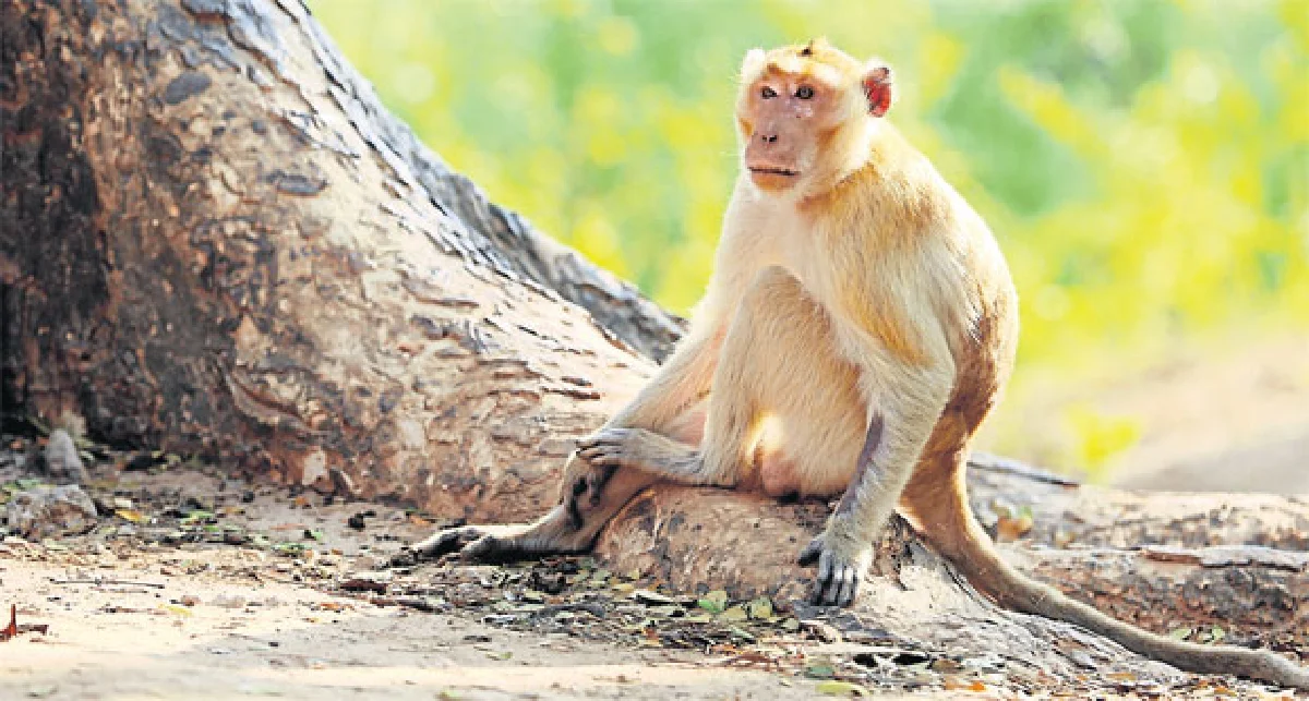 มาหาเซอร์ไพรส์มหาสารคาม