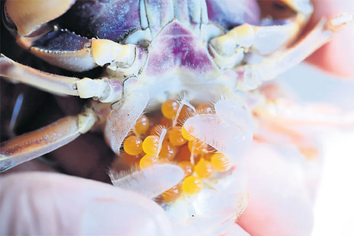 มาหาเซอร์ไพรส์มหาสารคาม