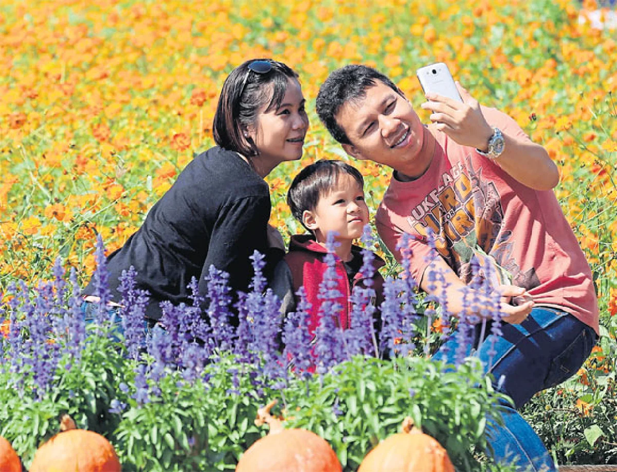 ฤดูดอกไม้บาน