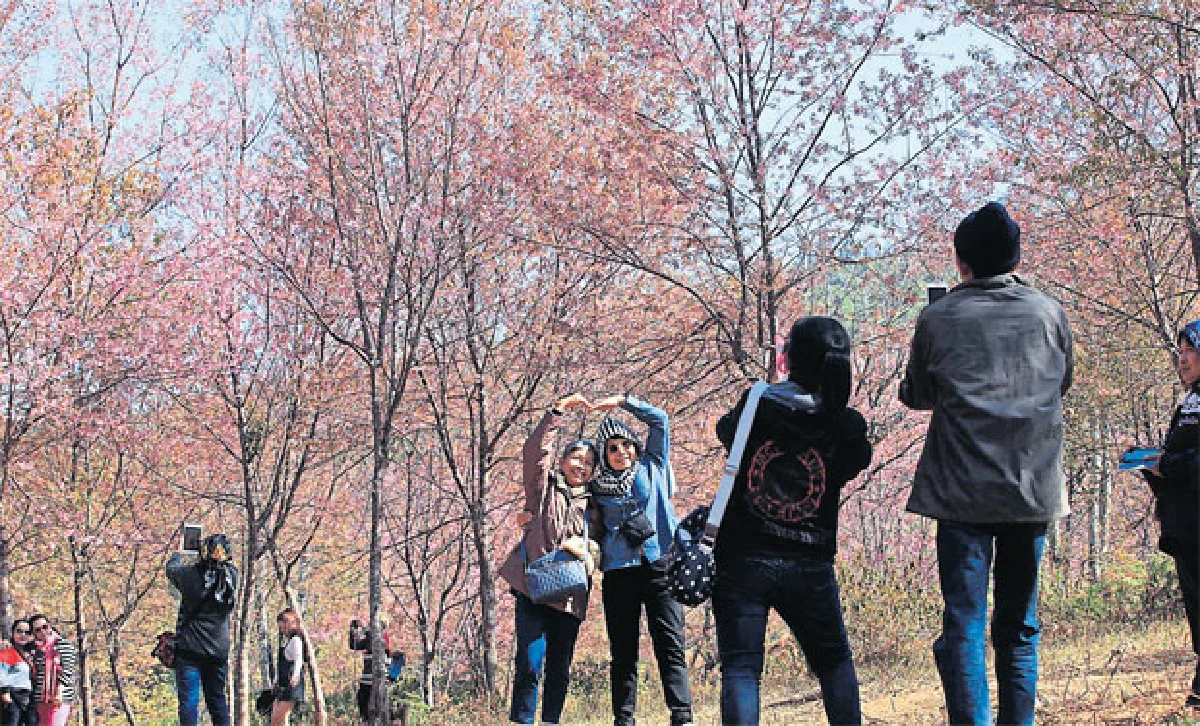 ฤดูดอกไม้บาน