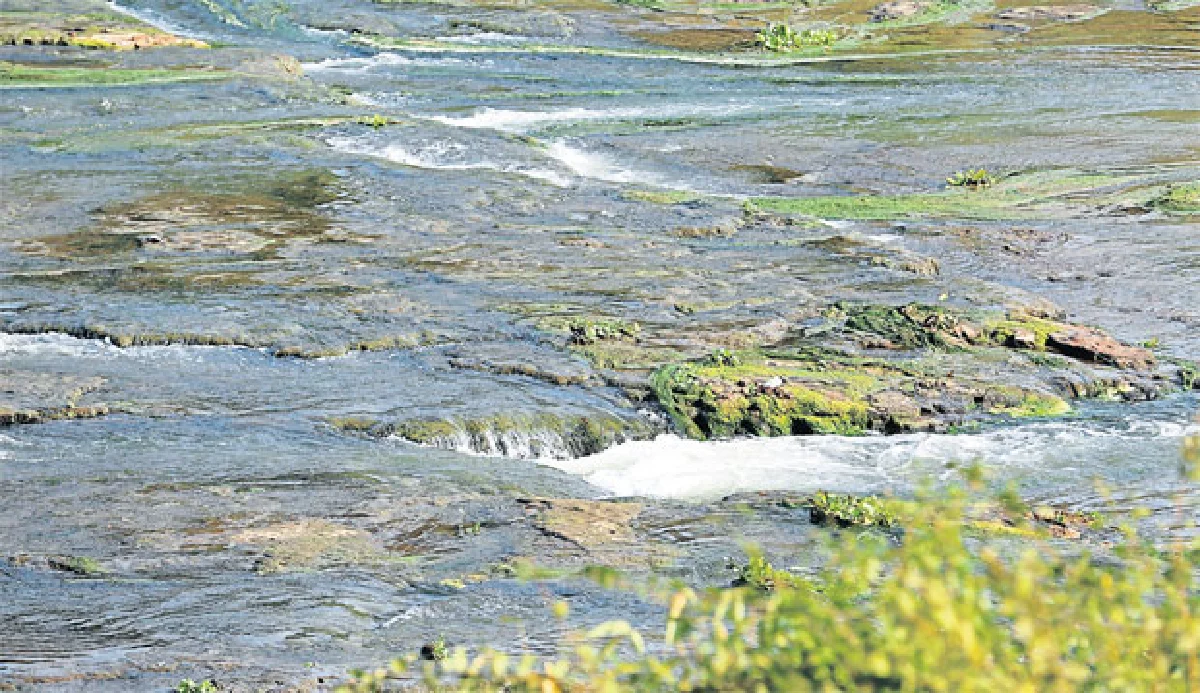 มาหาเซอร์ไพรส์มหาสารคาม