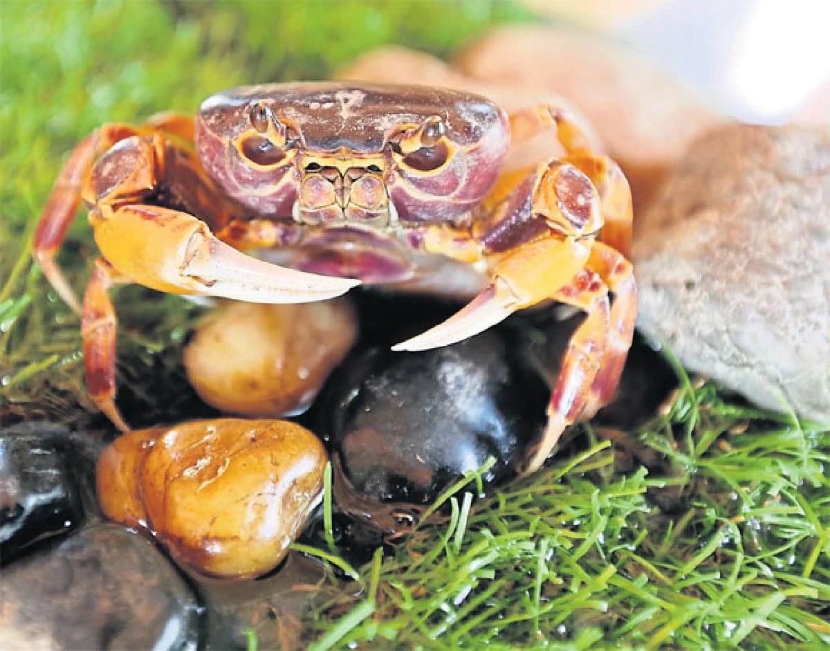 มาหาเซอร์ไพรส์มหาสารคาม