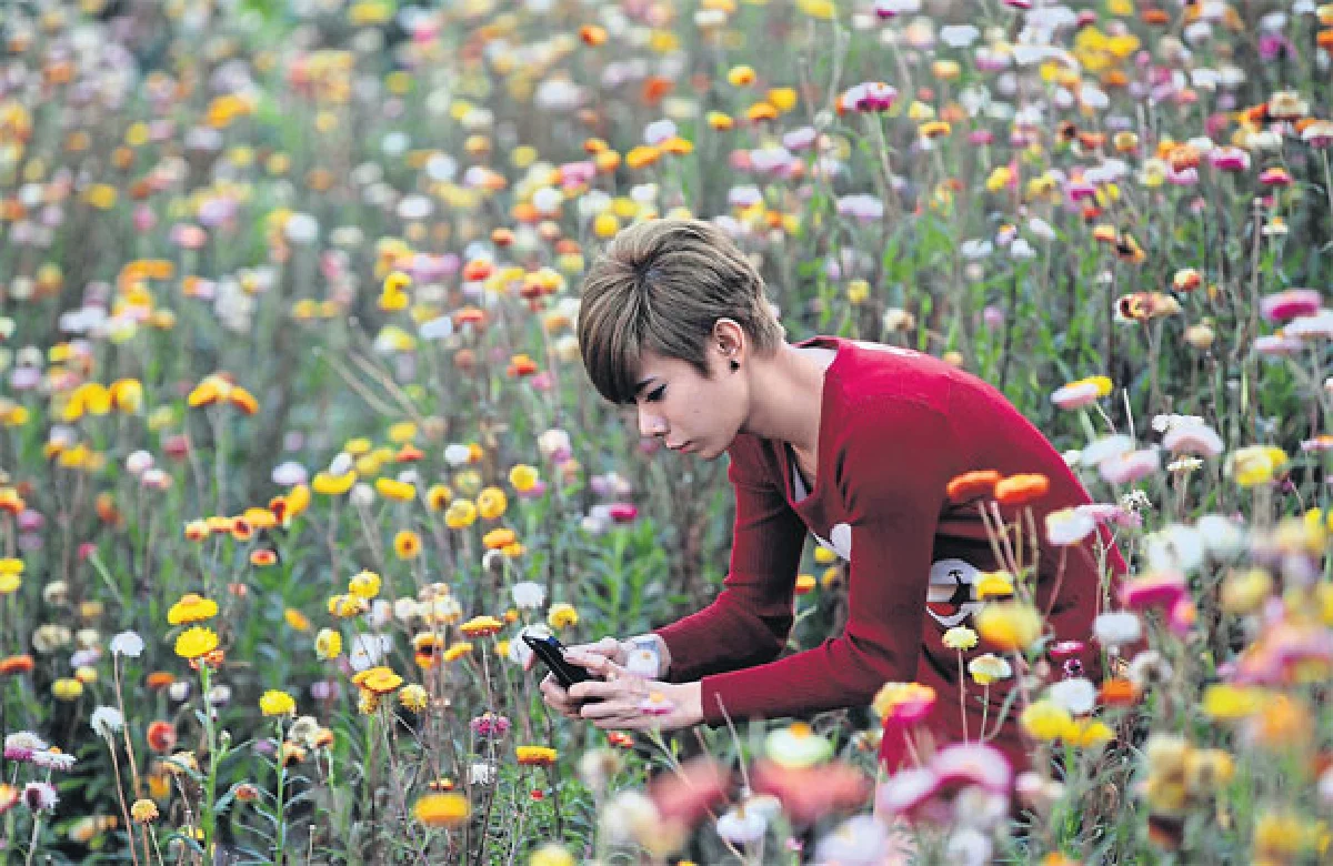 ฤดูดอกไม้บาน