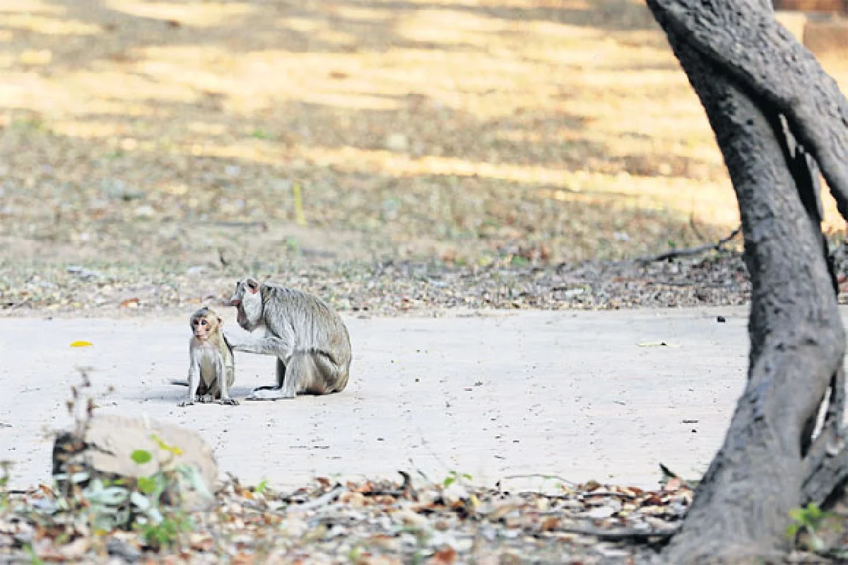 มาหาเซอร์ไพรส์มหาสารคาม