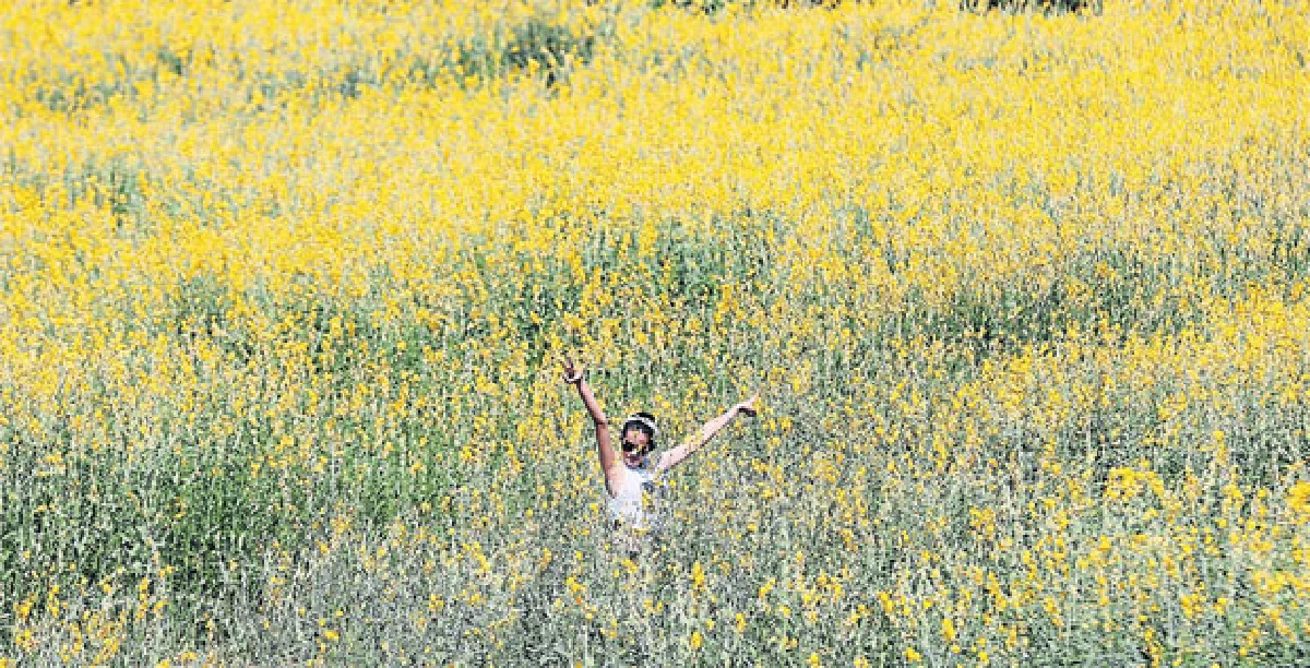 ฤดูดอกไม้บาน