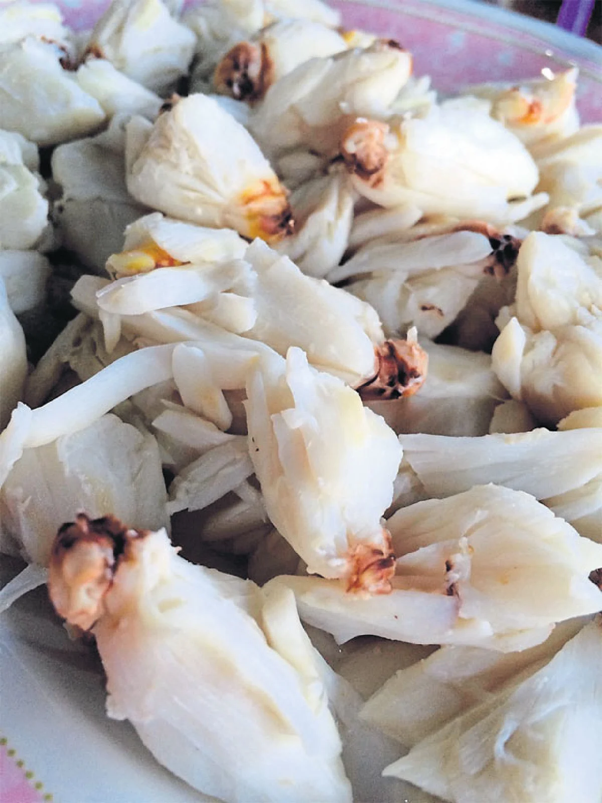 ครัวมัจฉานุ กินลม ชมวิว