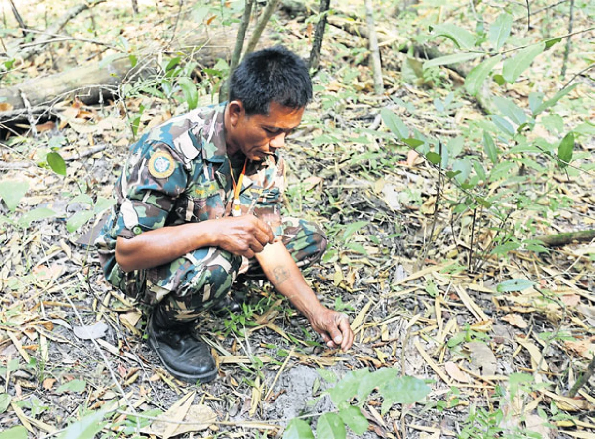 มาหาเซอร์ไพรส์มหาสารคาม