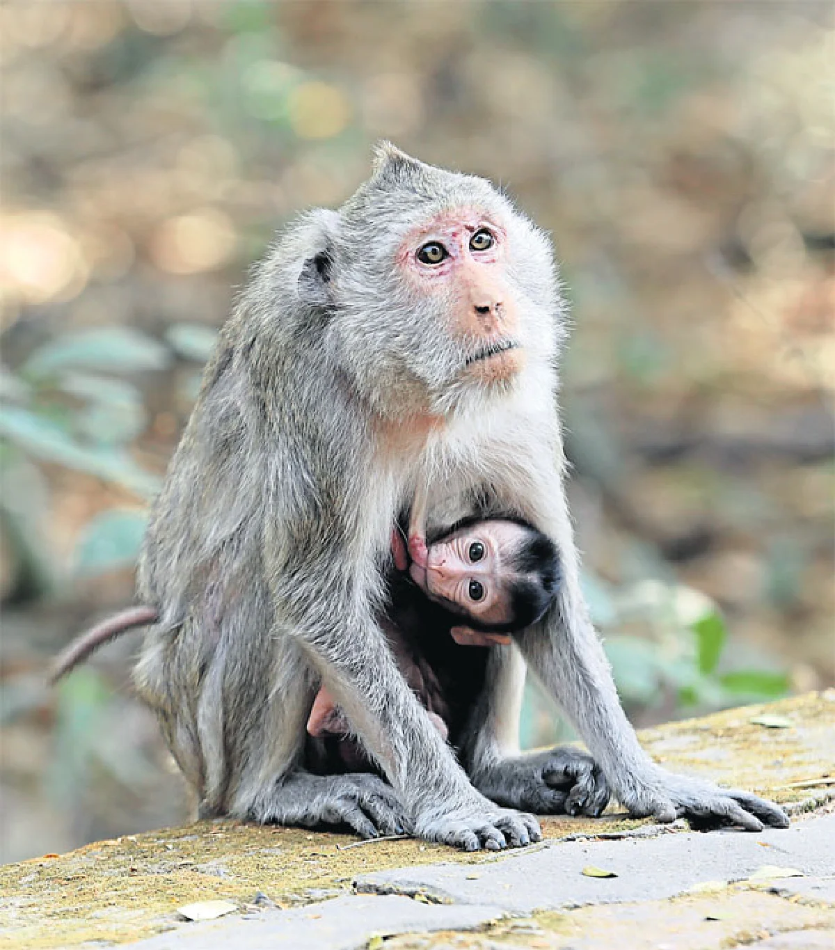 มาหาเซอร์ไพรส์มหาสารคาม