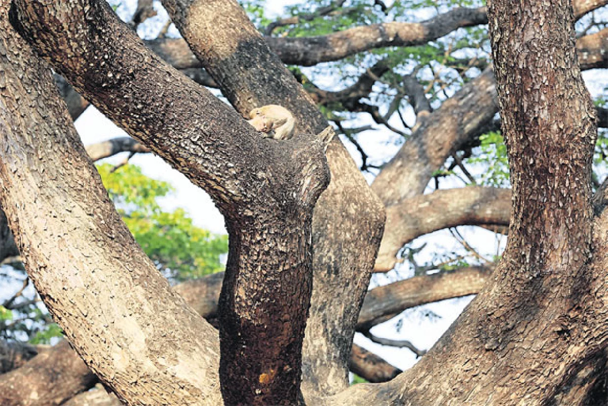 มาหาเซอร์ไพรส์มหาสารคาม