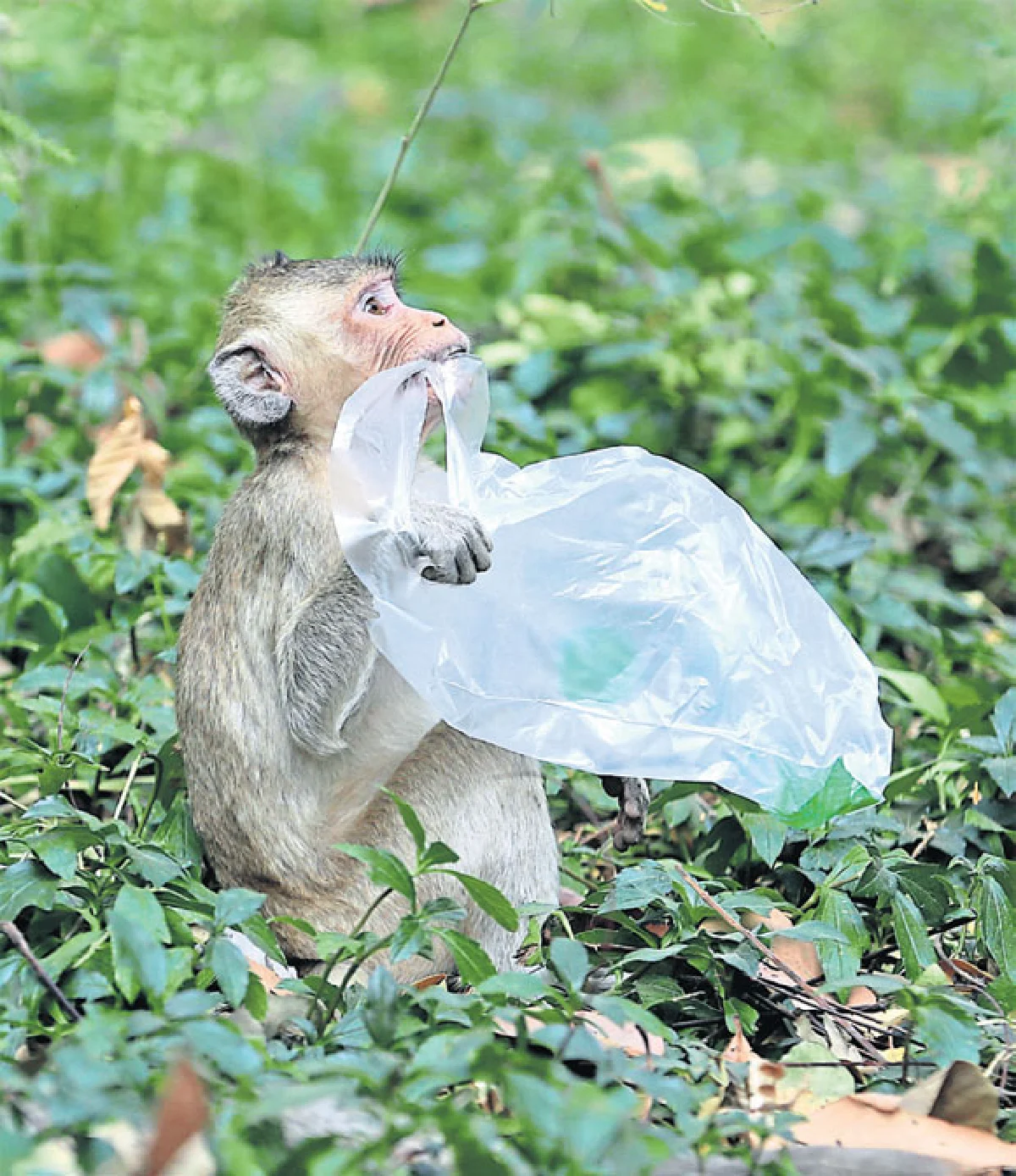 มาหาเซอร์ไพรส์มหาสารคาม