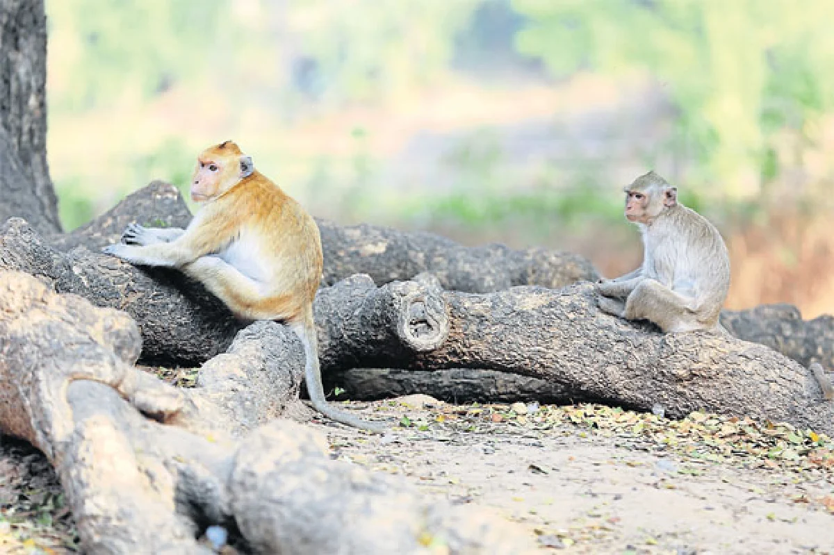 มาหาเซอร์ไพรส์มหาสารคาม